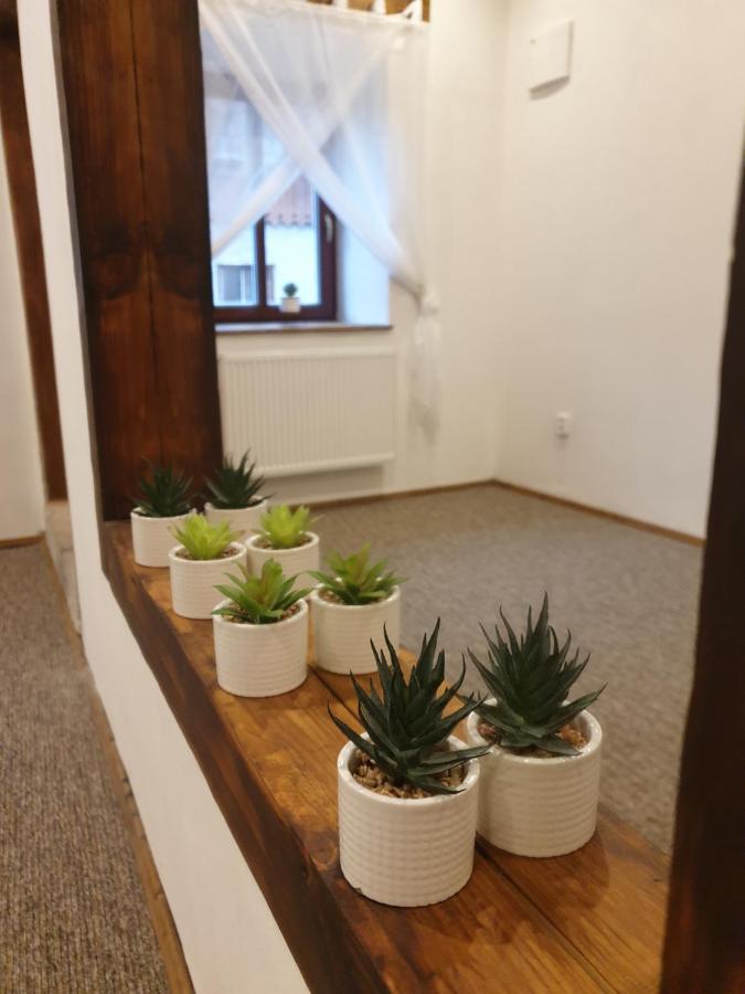 Appartamento U Mikesu Vyšší Brod Esterno foto